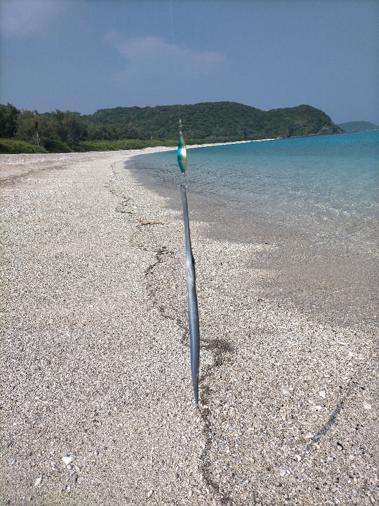 初めて釣れた!!