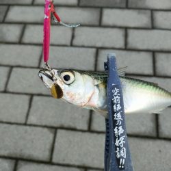 久々にサバゲー