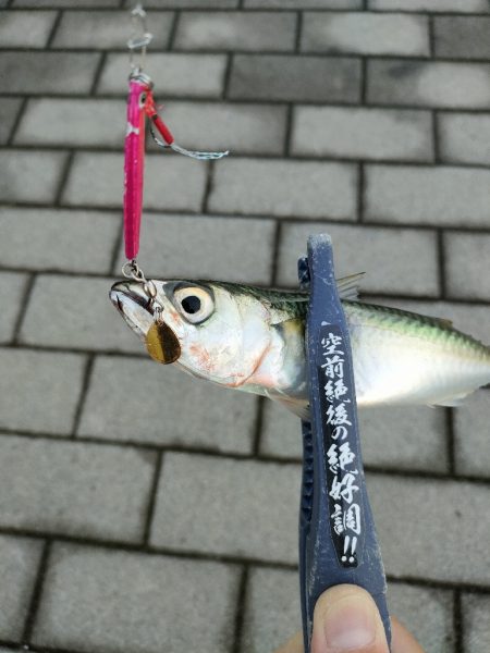 久々にサバゲー