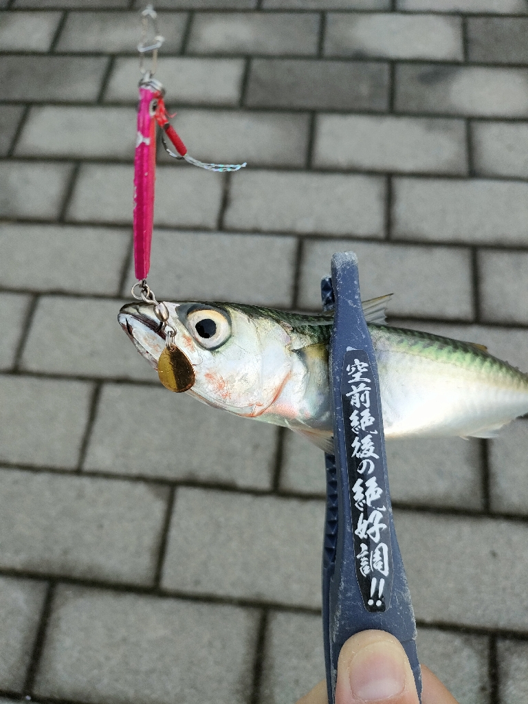 久々にサバゲー