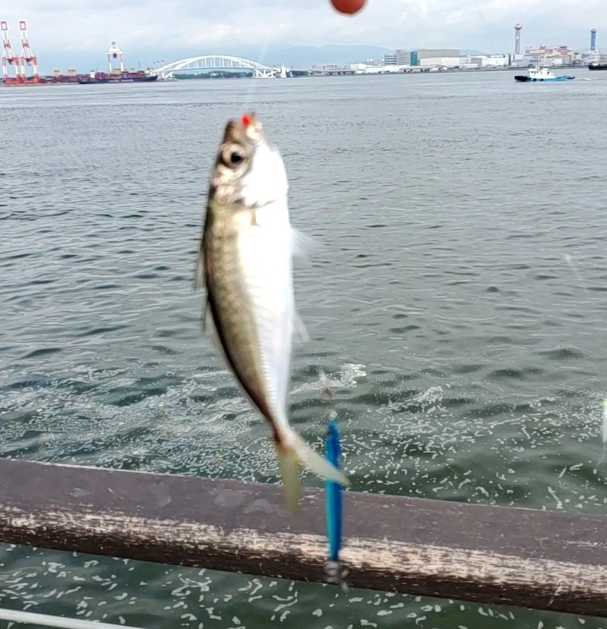 コスモでサバゲー