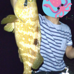 ビギナーズラック