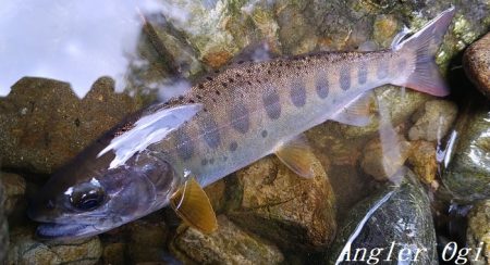 天川村は渇水期も関係なし！
