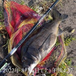 目印落とし込み