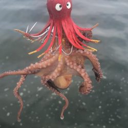 秋を感じるシーサイド