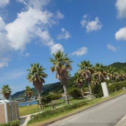 タチウオを求めて弾丸ツアー