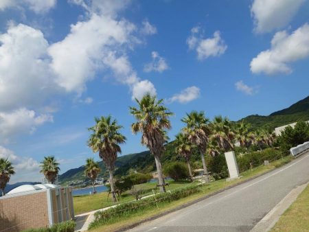 タチウオを求めて弾丸ツアー