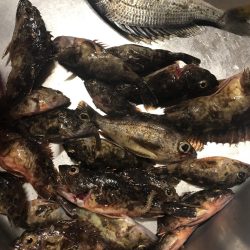 太刀魚釣り