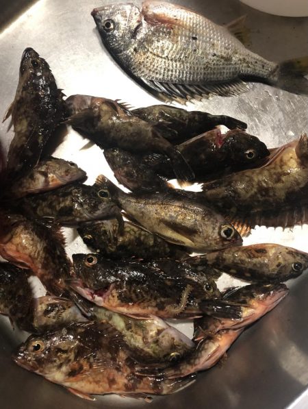 太刀魚釣り