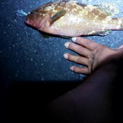 盆休み1日目の朝