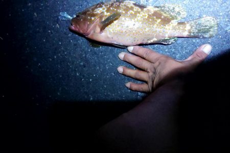 盆休み1日目の朝