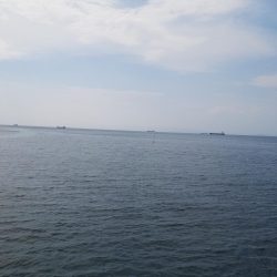 海釣り公園フカセ釣り