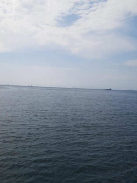 海釣り公園フカセ釣り