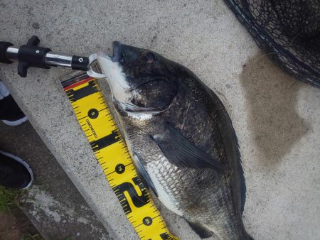 今年初！！　～辰巳～