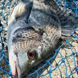 久しぶりのフカセにて。