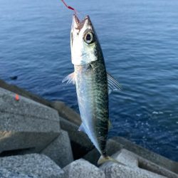 リベンジマッチがサバゲーに…