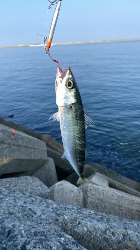 リベンジマッチがサバゲーに…