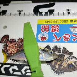 あれれ？なアジング