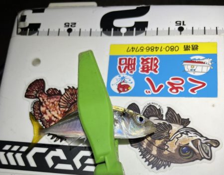 あれれ？なアジング