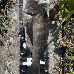 イチノ兄弟、釣果!