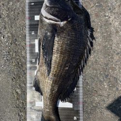 イチノ兄弟、釣果！