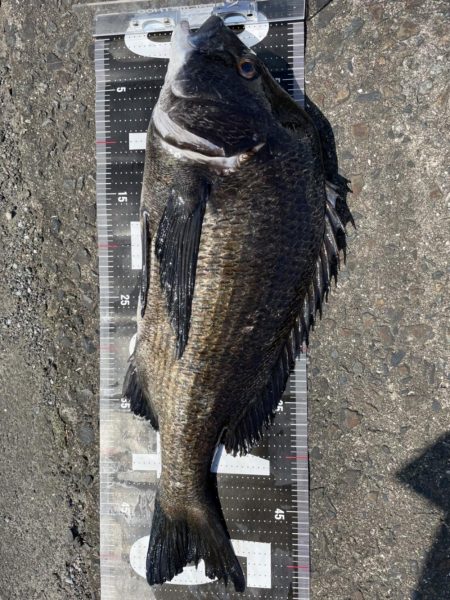 イチノ兄弟、釣果！