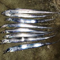 旬のスズキは絶品