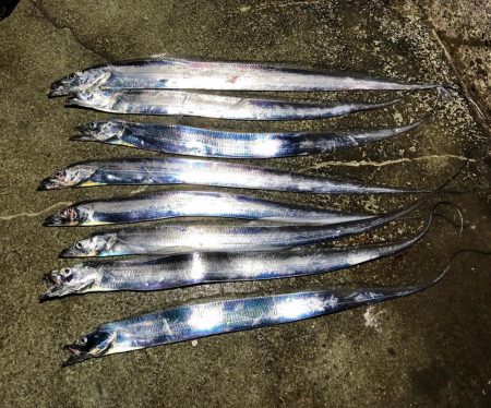 旬のスズキは絶品