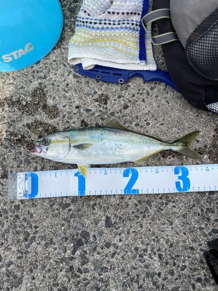 ジギング、アジング