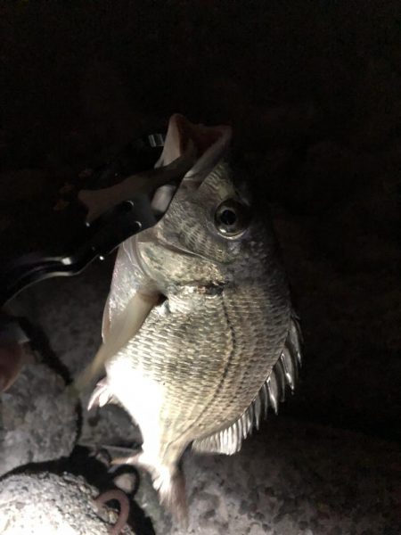 夏チニング1年振り