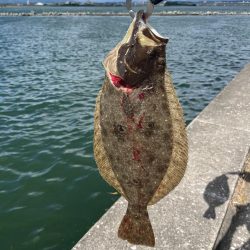 ルアーでヒラメ