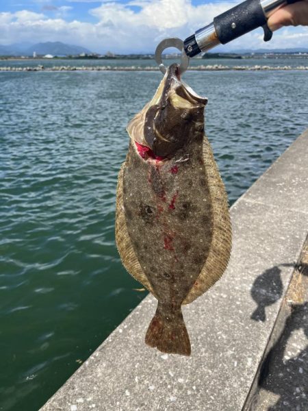 ルアーでヒラメ