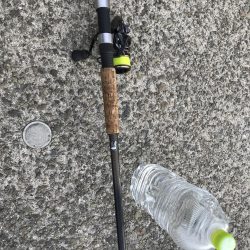 活性がイマイチ