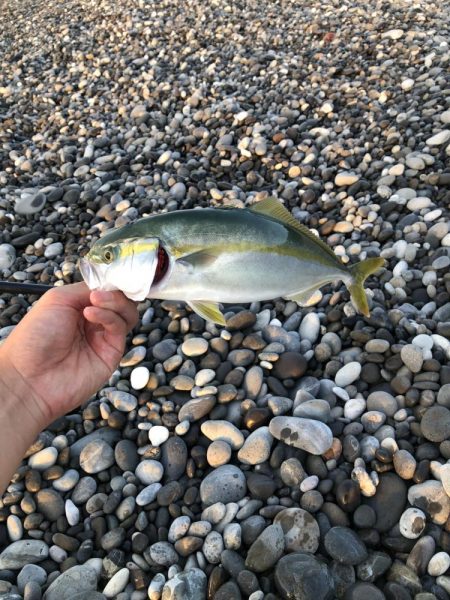 昨日に引き続き