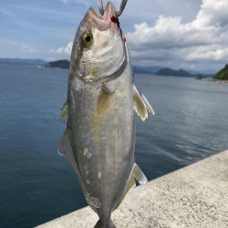 久しぶりのルアー