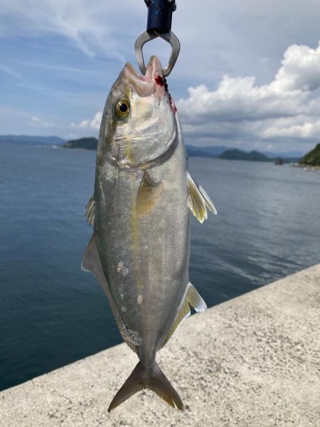 久しぶりのルアー