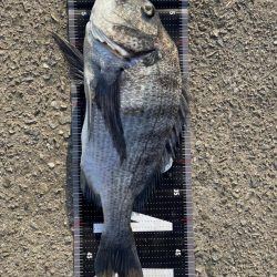 イチノ兄弟、釣果！