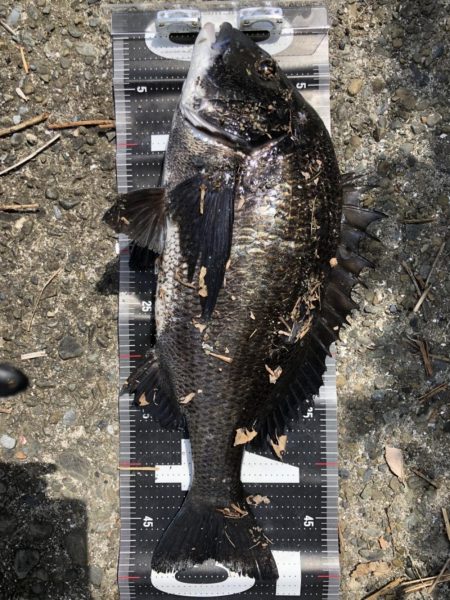 イチノ兄弟、釣果！