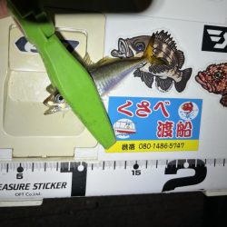 昨夜の好青年と彼女?と親父で楽しいアジング🤗