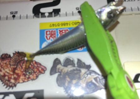 短時間暇つぶしお豆アジング