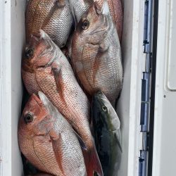 真鯛フカセ釣り