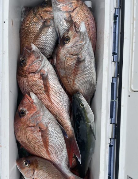 真鯛フカセ釣り