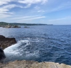 ライトショアジギング