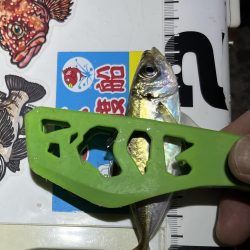 エブリナイトお豆❤️