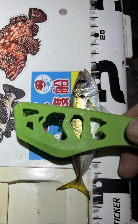 エブリナイトお豆❤️