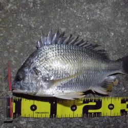 警戒心強すぎ…