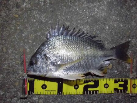 警戒心強すぎ…