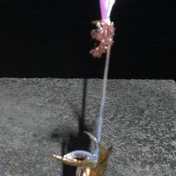 エギング　コロッケサイズ