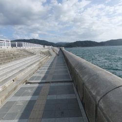 タチウオ調査のはずが、、、