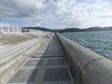 タチウオ調査のはずが、、、